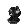 SilentNight Earplugs